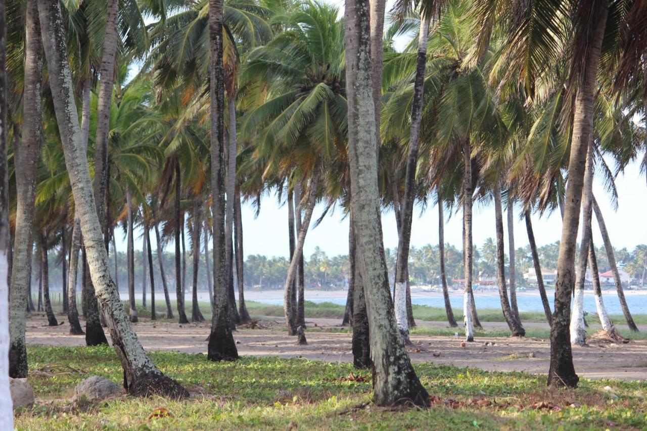 Pousada Parador 081 Hotel Porto de Galinhas Luaran gambar